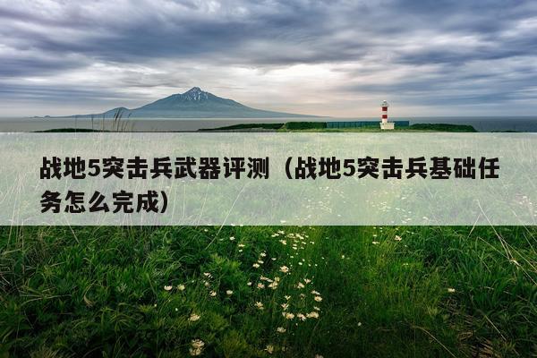 战地5突击兵武器评测（战地5突击兵基础任务怎么完成）
