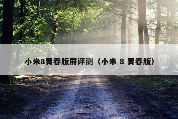 小米8青春版屏评测（小米 8 青春版）