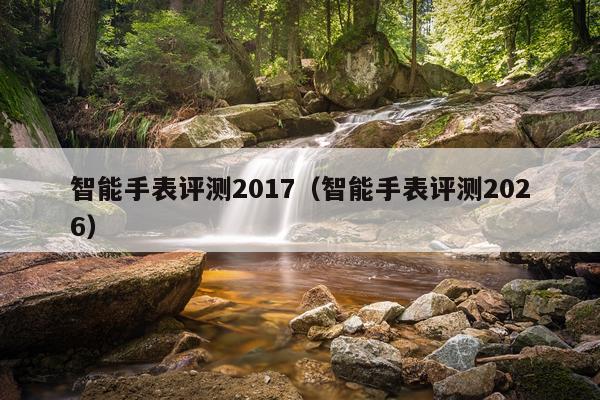 智能手表评测2017（智能手表评测2026）