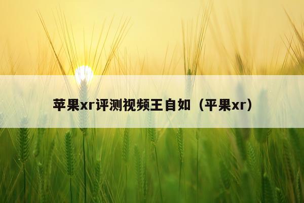 苹果xr评测视频王自如（平果xr）