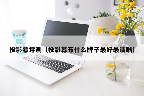 投影幕评测（投影幕布什么牌子最好最清晰）