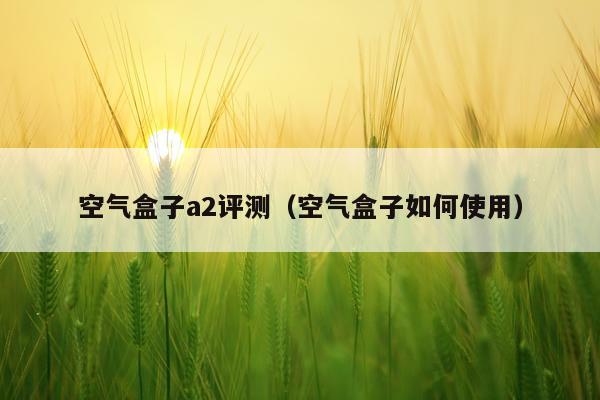 空气盒子a2评测（空气盒子如何使用）