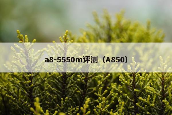a8-5550m评测（A850）