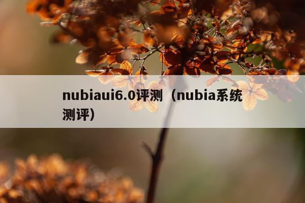 nubiaui6.0评测（nubia系统测评）