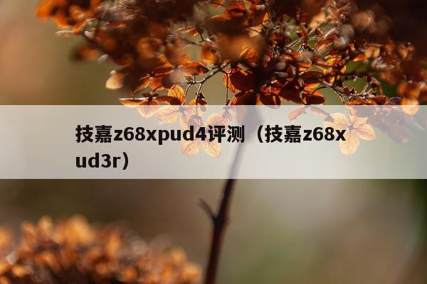 技嘉z68xpud4评测（技嘉z68x ud3r）