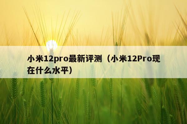 小米12pro最新评测（小米12Pro现在什么水平）