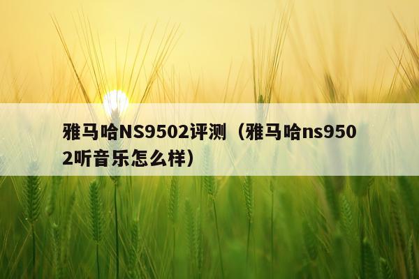 雅马哈NS9502评测（雅马哈ns9502听音乐怎么样）