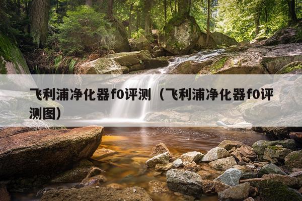 飞利浦净化器f0评测（飞利浦净化器f0评测图）
