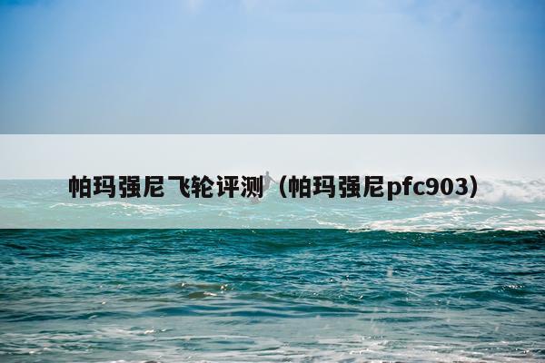 帕玛强尼飞轮评测（帕玛强尼pfc903）