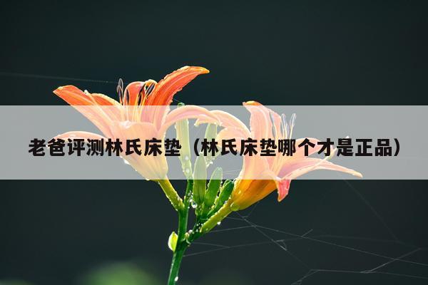 老爸评测林氏床垫（林氏床垫哪个才是正品）