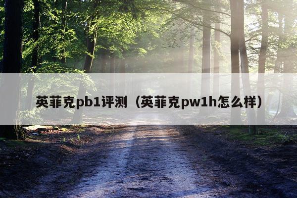 英菲克pb1评测（英菲克pw1h怎么样）