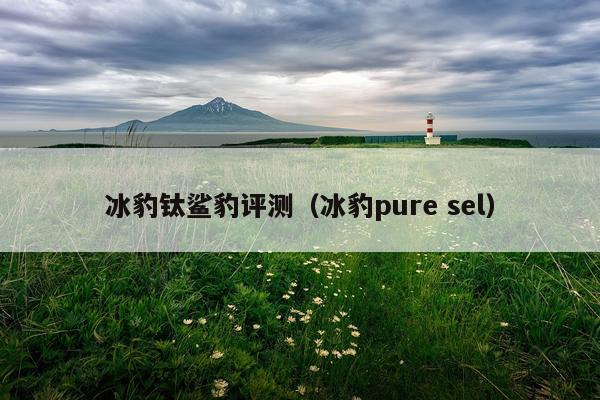 冰豹钛鲨豹评测（冰豹pure sel）
