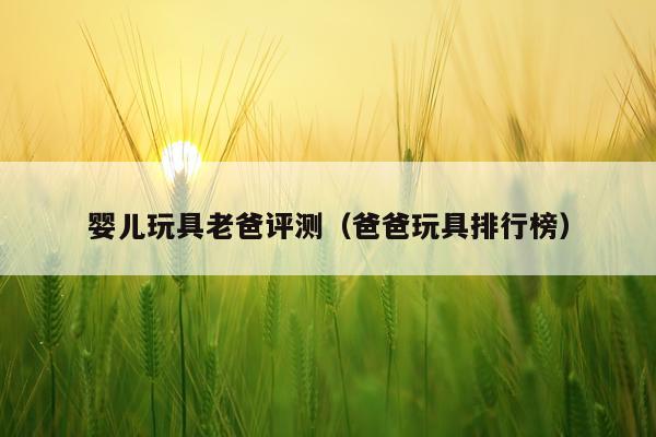 婴儿玩具老爸评测（爸爸玩具排行榜）