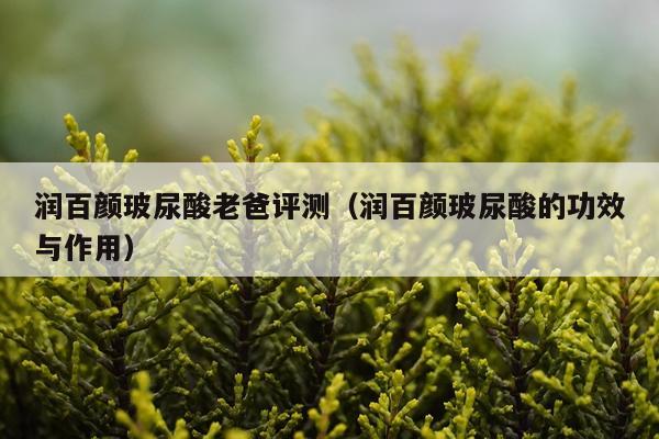 润百颜玻尿酸老爸评测（润百颜玻尿酸的功效与作用）