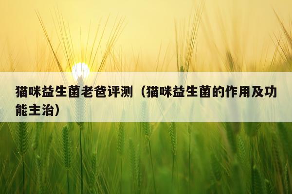 猫咪益生菌老爸评测（猫咪益生菌的作用及功能主治）
