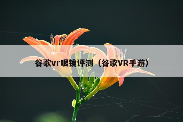 谷歌vr眼镜评测（谷歌VR手游）