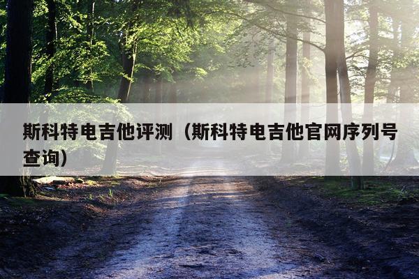 斯科特电吉他评测（斯科特电吉他官网序列号查询）