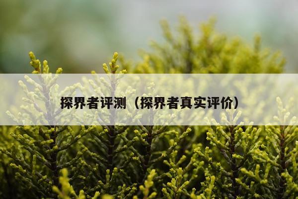 探界者评测（探界者真实评价）
