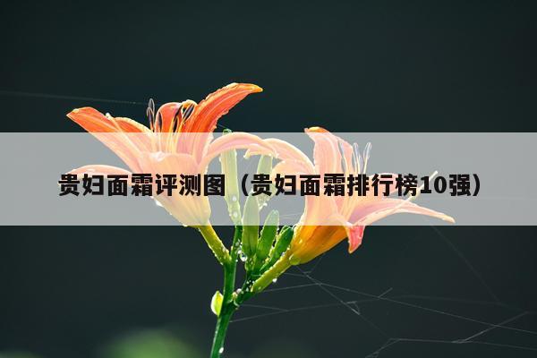 贵妇面霜评测图（贵妇面霜排行榜10强）