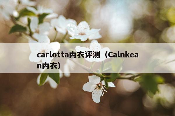 carlotta内衣评测（Calnkean内衣）