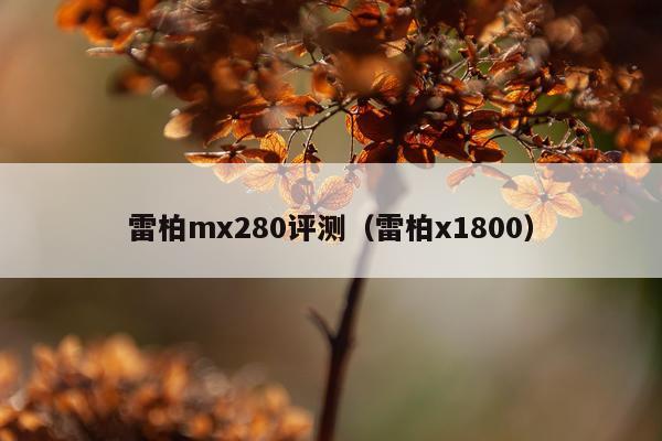 雷柏mx280评测（雷柏x1800）