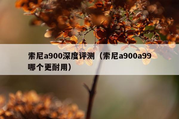 索尼a900深度评测（索尼a900a99哪个更耐用）
