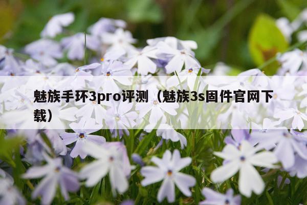 魅族手环3pro评测（魅族3s固件官网下载）
