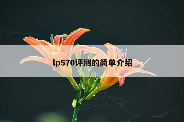 lp570评测的简单介绍