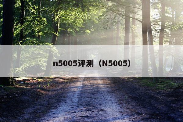 n5005评测（N5005）