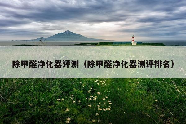 除甲醛净化器评测（除甲醛净化器测评排名）