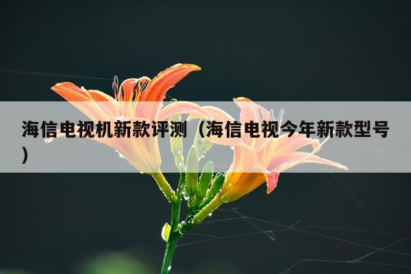 海信电视机新款评测（海信电视今年新款型号）