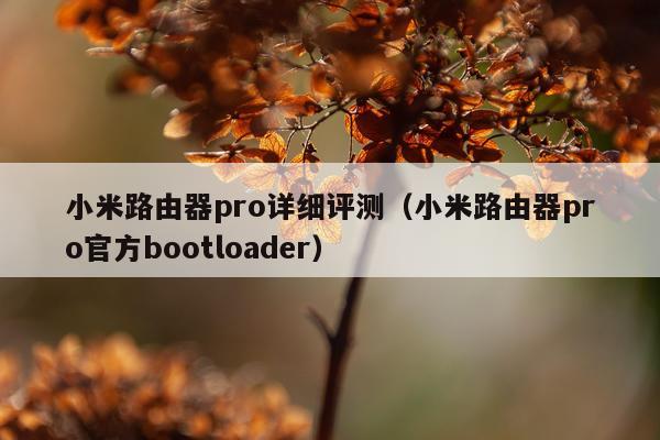 小米路由器pro详细评测（小米路由器pro官方bootloader）