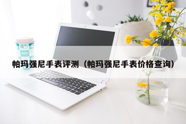 帕玛强尼手表评测（帕玛强尼手表价格查询）