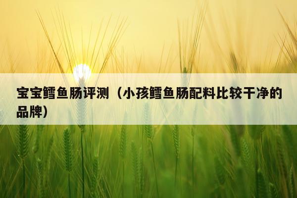 宝宝鳕鱼肠评测（小孩鳕鱼肠配料比较干净的品牌）