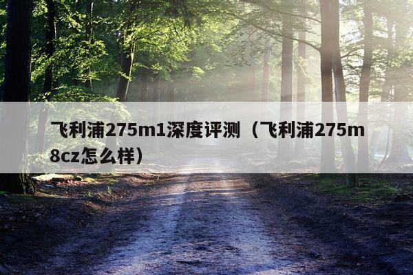 飞利浦275m1深度评测（飞利浦275m8cz怎么样）