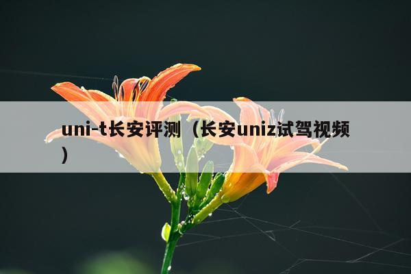 uni-t长安评测（长安uniz试驾视频）