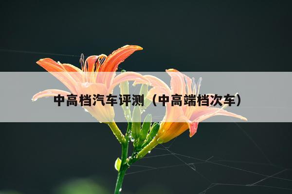中高档汽车评测（中高端档次车）