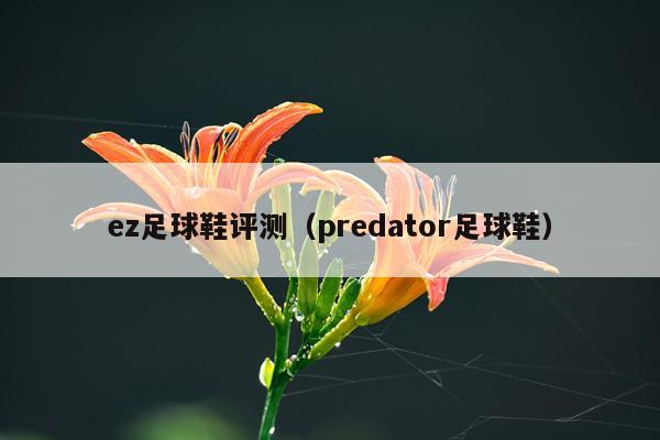 ez足球鞋评测（predator足球鞋）