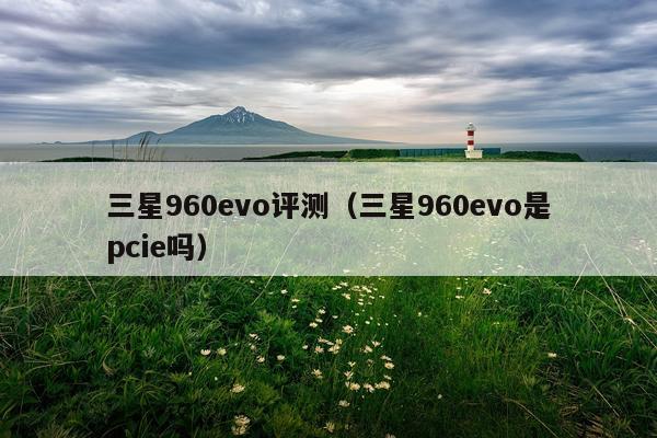 三星960evo评测（三星960evo是pcie吗）
