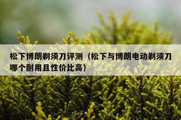 松下博朗剃须刀评测（松下与博朗电动剃须刀哪个耐用且性价比高）