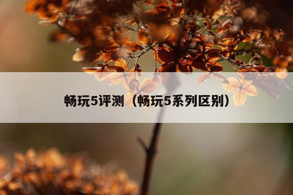 畅玩5评测（畅玩5系列区别）