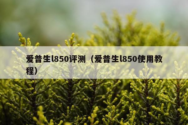 爱普生l850评测（爱普生l850使用教程）