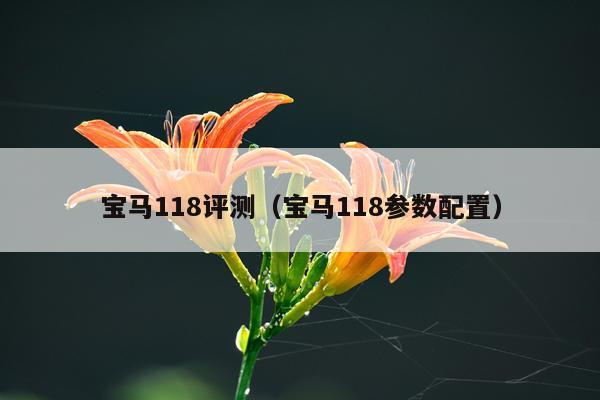 宝马118评测（宝马118参数配置）