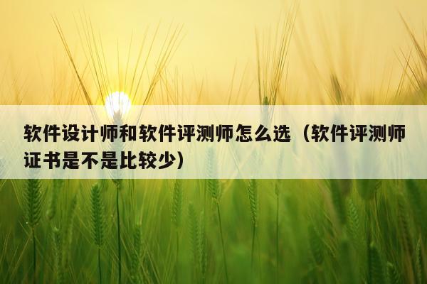软件设计师和软件评测师怎么选（软件评测师证书是不是比较少）