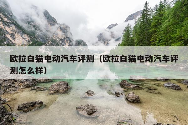 欧拉白猫电动汽车评测（欧拉白猫电动汽车评测怎么样）