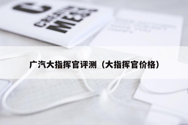 广汽大指挥官评测（大指挥官价格）