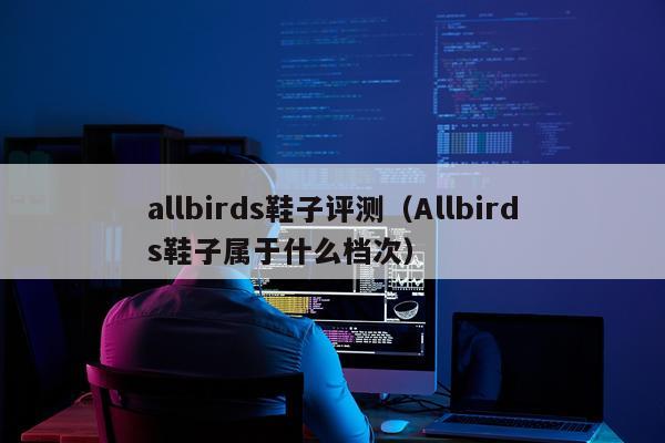 allbirds鞋子评测（Allbirds鞋子属于什么档次）