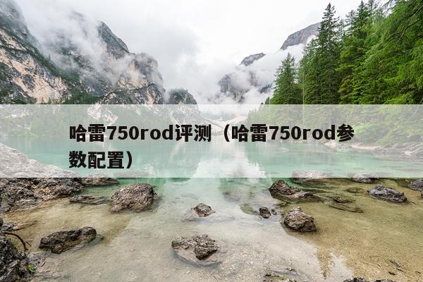 哈雷750rod评测（哈雷750rod参数配置）