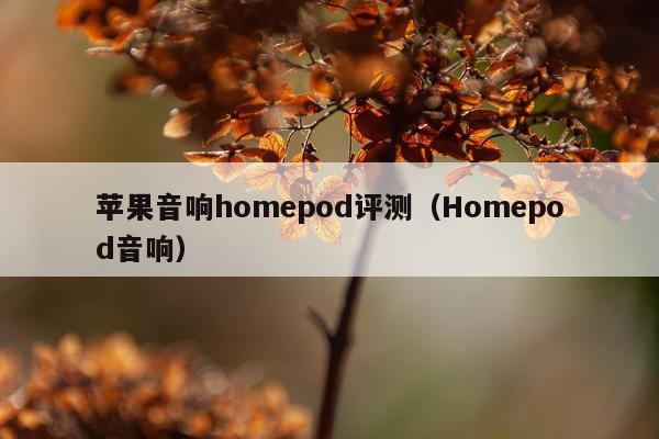 苹果音响homepod评测（Homepod音响）