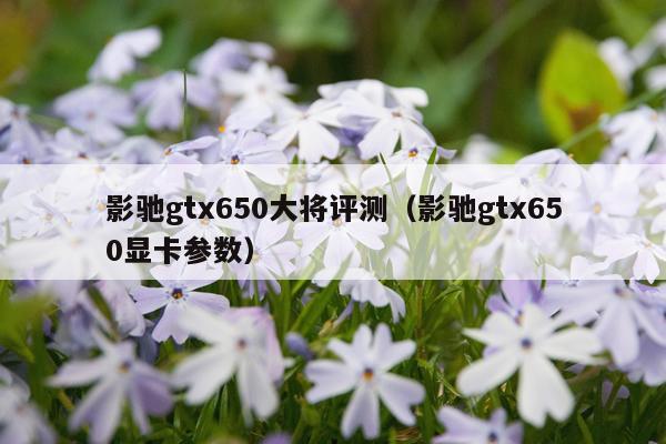 影驰gtx650大将评测（影驰gtx650显卡参数）